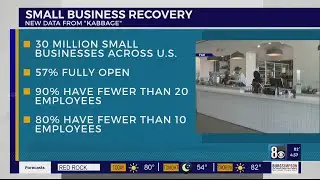 8 On Your Side: Data on small business recovery
