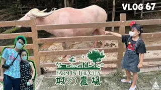 Farm In The City 🐄 Great activity for kids… and adults! | Vlog 67