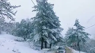 Inverno 2026 Sicilia Piano zucchi