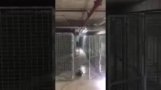 Storage Cage Install Canterbury 2