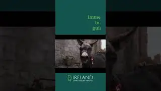 Tour 'The Banshees of Inisherin' filming locations with Ireland Chauffeur Travel
