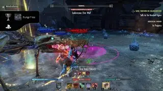 The Elder Scrolls Online: Fungi Free Trohpy