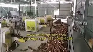 Multi Rip Saw Machines and Production Line Sawmill for Making Barecore and Blockboard Gang Rip Saw