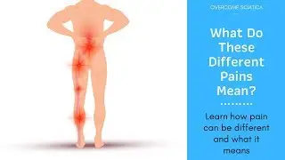 Different Types of Sciatica Pain: What Do They Mean?