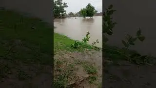Flood Update Pakistan, River  Sutlej Flood 2025