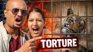 Zoos Are are Animal Prisons! We Can&rsquo;t Stay Silent