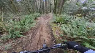 Mr. T // One Of My Favorite Trails On Mt Prevost!