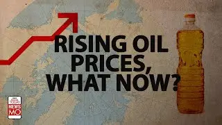 Oil Price Rise: How Can You Reduce Dependency On Oil? | NewsMo