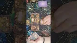01/18/2026: Daily Layout for You!