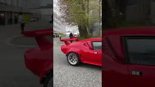 De tomaso pantera🌹#americancars#detomasopantera#fyp#cartok