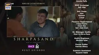 SharPasand Episode 19 | Teaser | ARY Digital Drama