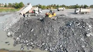 Incridible!! SHANTUI Bulldozer+Wheel Loader Smart Working With Dump Trucks Unloading Stone In Mud
