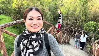 Một ngày khám phá làng nổi Tân Lập 