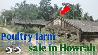 Land for sale, 2 Bigha, ( poultry farm ) Aria of Howrah, West Bengal India,
