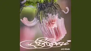 celestial (JKS Remix)