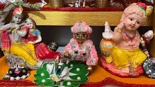 Pooja Rohara  is live
