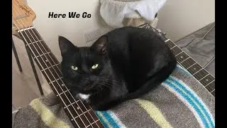 Doorfloor - Here We Go (Official Music Video)
