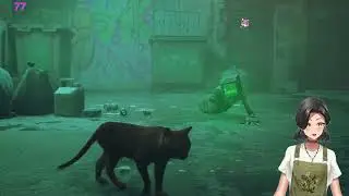 Stray Stream Part 1