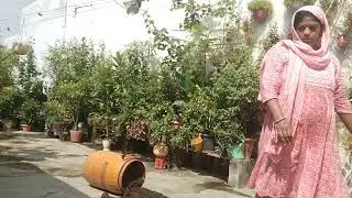 🙋🏡Apni kitchen aur Garden base khad ko upjau varmi compost ko dhup mein recharge karna❤️👍👌🙏🔔