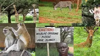 Eureka Camping Park  Solo Tour Without A Tour Guide.I Faced Wild Animals