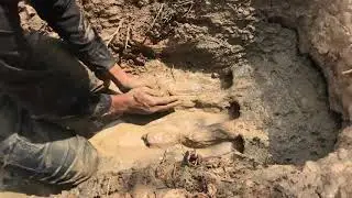 Bamboo Deep Hole Eels Trap -Boy Make Deep Hole Eels Trap With Bamboo To Catch Eels