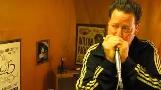 Shure PE53 Spher-O-Dyne Omni Dynamic Harp Vocal Mic