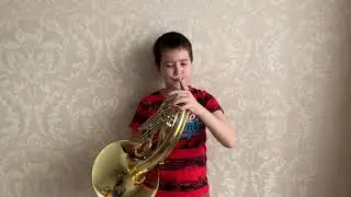Гамма Мажор Деташе