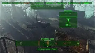 Fallout 4&lsquo;s best crop