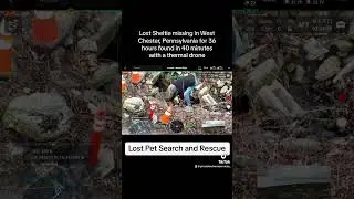 Lost dog (Sheltie) found in Chester County, Pa with thermal drone