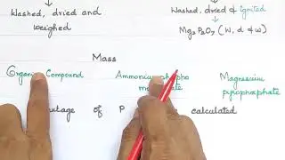 Estimation of Phosphorus/Carius Method/#Neettamil/Expln in Tamil/Fundamentals of Organic Chemistry