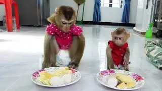 Good Behavior Mori & Zuji Waiting Mom Allow To Eat Meal