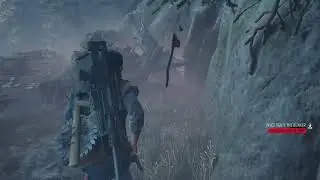 DaysGone Game+