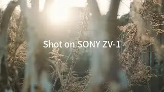 ZV-1 4K Video Bokeh and Light / S-Log3 and HLG2(709)