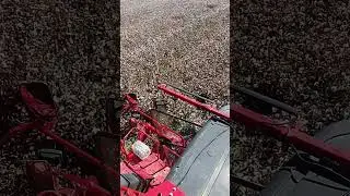 John Deere Cotton harvester #cotton #johndeere   #agriculturalmachinery #automobile #cottonindustry