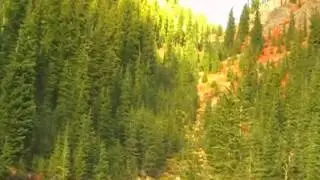 Mt. Jefferson The Table - Cascade Trekker