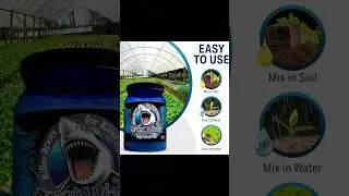 Great White Mycorrhizae Review 🌱 Explosive Root Growth in Days!