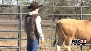 Video: Rising bull-riding star in recovery following life-threatening bull-riding accident