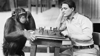 Online free Chess Game