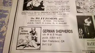 Blitzoids  Theme from a Summer Place  LP V.A. What is Truth? Vol.2  Panic Records (1988)