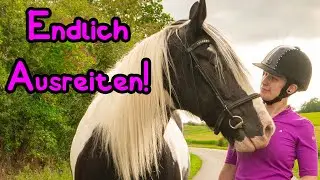 Endlich ausreiten! 😍🦄 mit Tinker Mitch