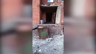 Один из домов Пролетарского округа Тулы осадили крысы