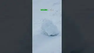 Snow Rollers: Nature&rsquo;s Perfect Snow Cylinders