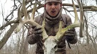 Monster Deadhead found in Missouri