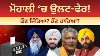 Mohali Election Results 2025: AAP wins in Majri, Congress returns in Mullanpur | Crime Awaz India