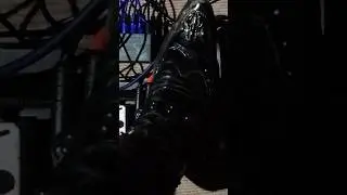 Sonicake Volwah Fast review by Marcel Torres
