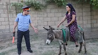 Аруси харсавор Гр Арабшо сахнаи нав 2020