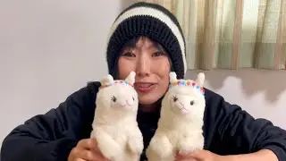 マイムフレンズ アルパカ / Mime Friends Plus 