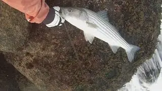 Weekapaug Breachway Crazy Striper Fishing with Swim Baits. Fall Rhode Island Surf Fishing