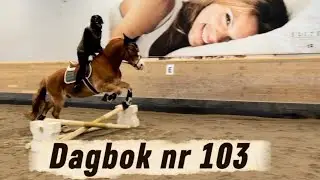 Dagbok nr 103 ”Hoppning & barbackaridning”