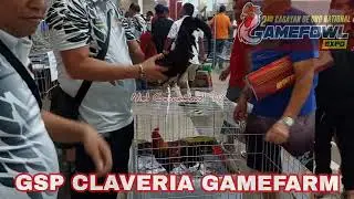 2nd Cagayan De Oro National Gamefowl Expo 2023: GSP CLAVERIA GAMEFARM